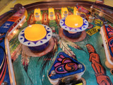 TOTEM - 1979 Gottleb Pinball Machine - Shopped and WORKING! New MPU