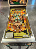 TRAIL DRIVE - 1970 Bally EM Pinball Machine - Shopped and WORKING!