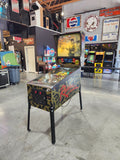 RAVEN - 1986 Gottlieb Pinball Machine - Shopped and WORKS 100%!