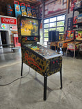 RAVEN - 1986 Gottlieb Pinball Machine - Shopped and WORKS 100%!