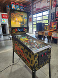 RAVEN - 1986 Gottlieb Pinball Machine - Shopped and WORKS 100%!