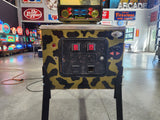 RAVEN - 1986 Gottlieb Pinball Machine - Shopped and WORKS 100%!