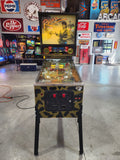 RAVEN - 1986 Gottlieb Pinball Machine - Shopped and WORKS 100%!