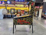 RAVEN - 1986 Gottlieb Pinball Machine - Shopped and WORKS 100%!