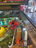 RAVEN - 1986 Gottlieb Pinball Machine - Shopped and WORKS 100%!