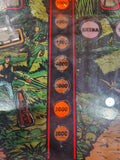 RAVEN - 1986 Gottlieb Pinball Machine - Shopped and WORKS 100%!