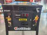 WORLD CHALLENGE SOCCER - 1994 Gottlieb Pinball Machine - NOS PLAYFIELD! Works all the way!