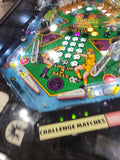 WORLD CHALLENGE SOCCER - 1994 Gottlieb Pinball Machine - NOS PLAYFIELD! Works all the way!